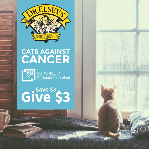cats against cancer