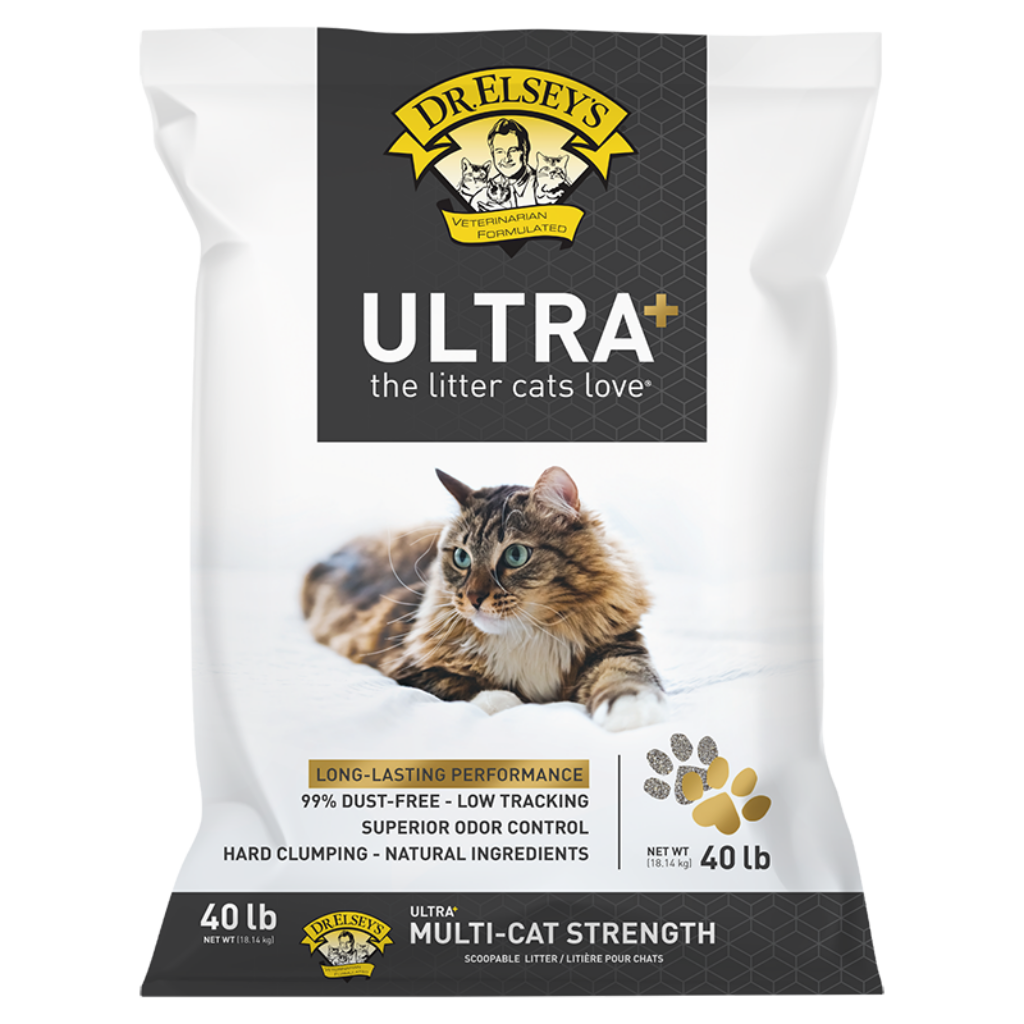 Best dust free cat litter 2019 best sale