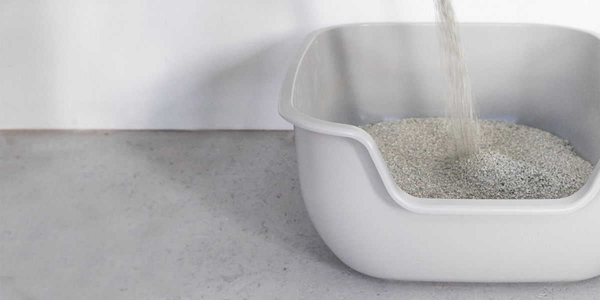 Litter box being filled with cat litter