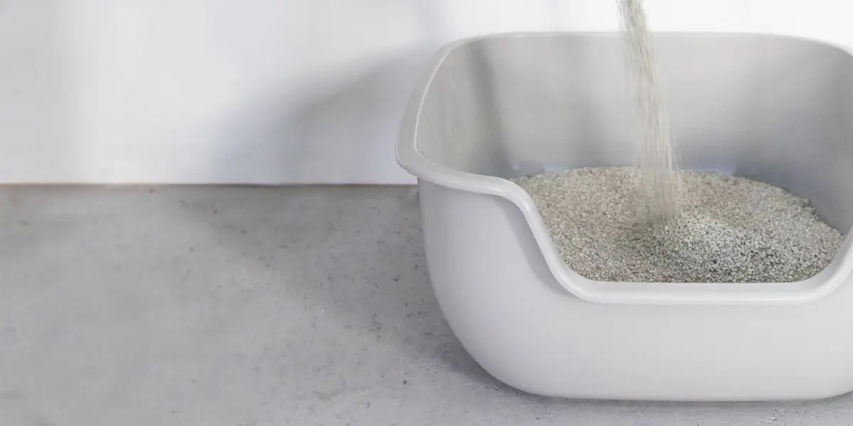 Litter box being filled with cat litter