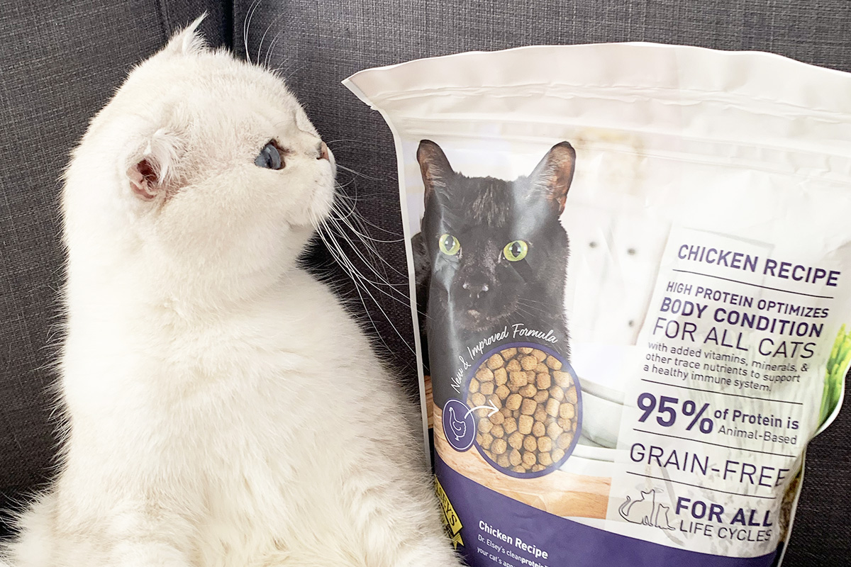 Transitioning Your Cat to cleanprotein Dr. Elsey s