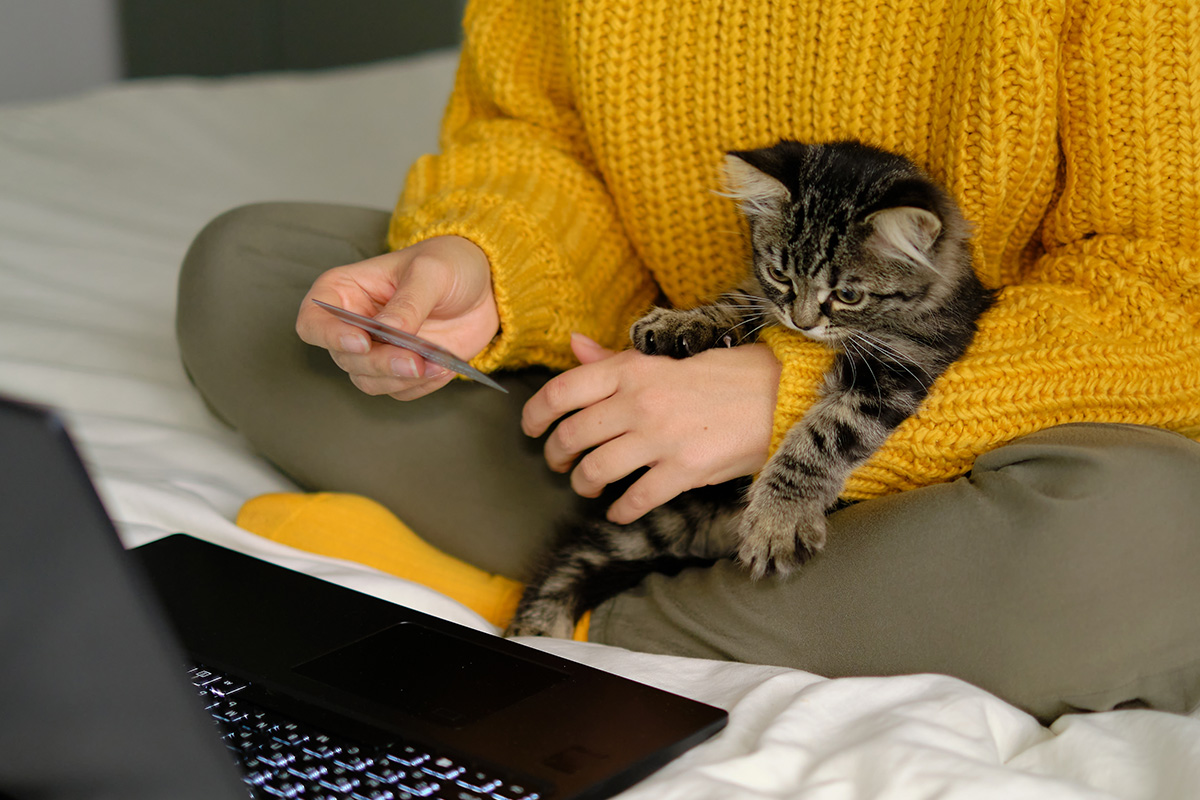 person and cat in front of a laptop
