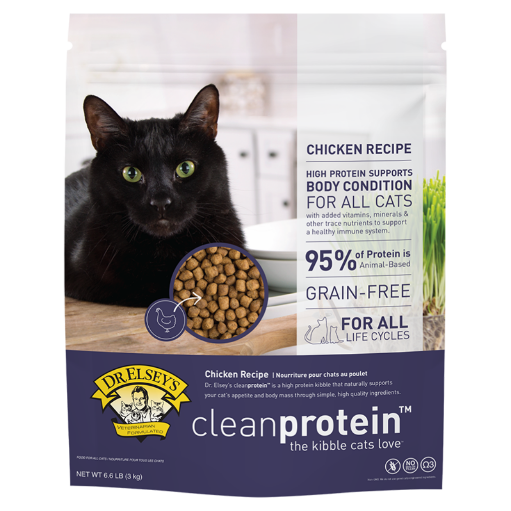 Cat kibble best sale