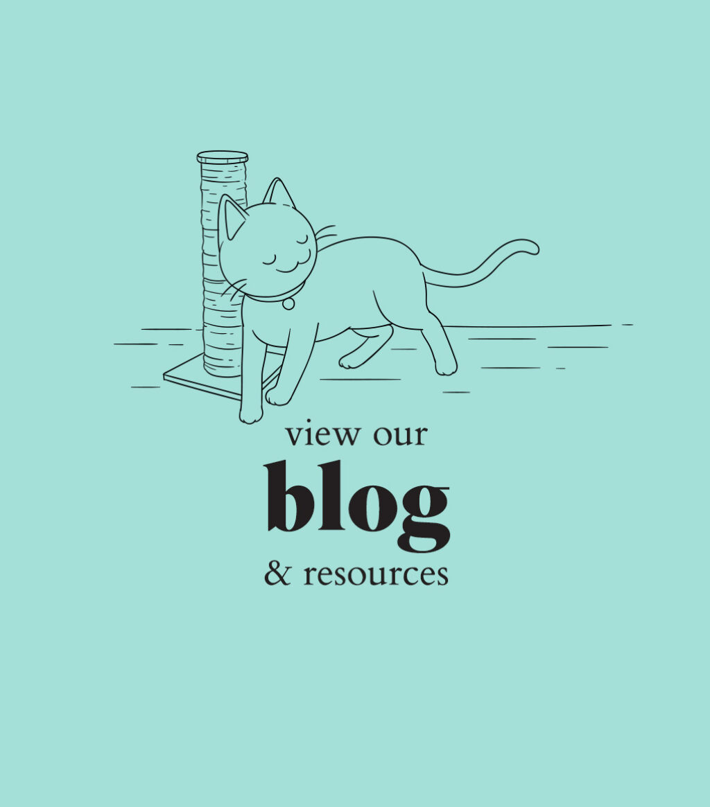 view our blog and resources