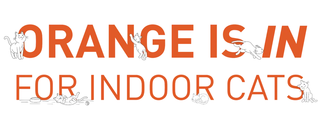 Graphic that says, "Orange is in for indoor cats"