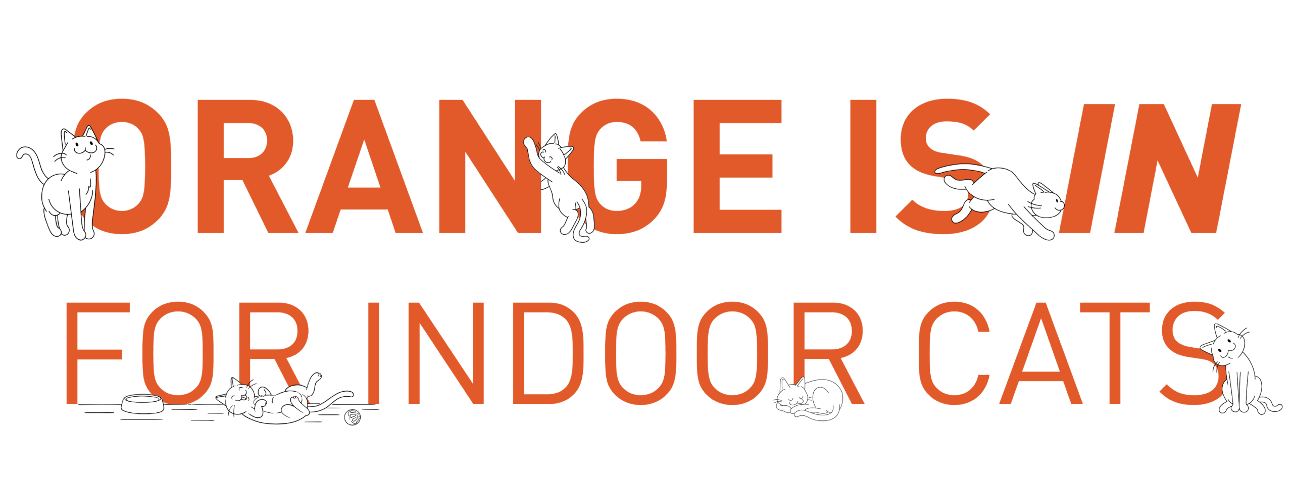 Graphic that says, "Orange is in for indoor cats"