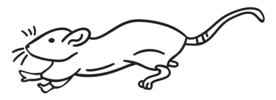 illustration-mouse-960x350